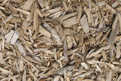 biomass boilers Rhiwbebyll